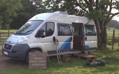 Trouvez votre van 2 places d&rsquo;occasion : les meilleurs camions pour chevaux à petit prix