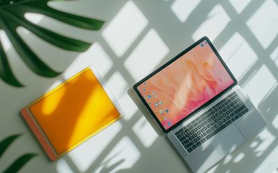 Dexter et Mango : avis complet et test comparatif pour choisir la meilleure plateforme