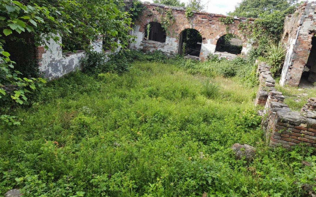 Ruine cadastre à vendre : opportunité d&rsquo;investissement immobilier à saisir rapidement