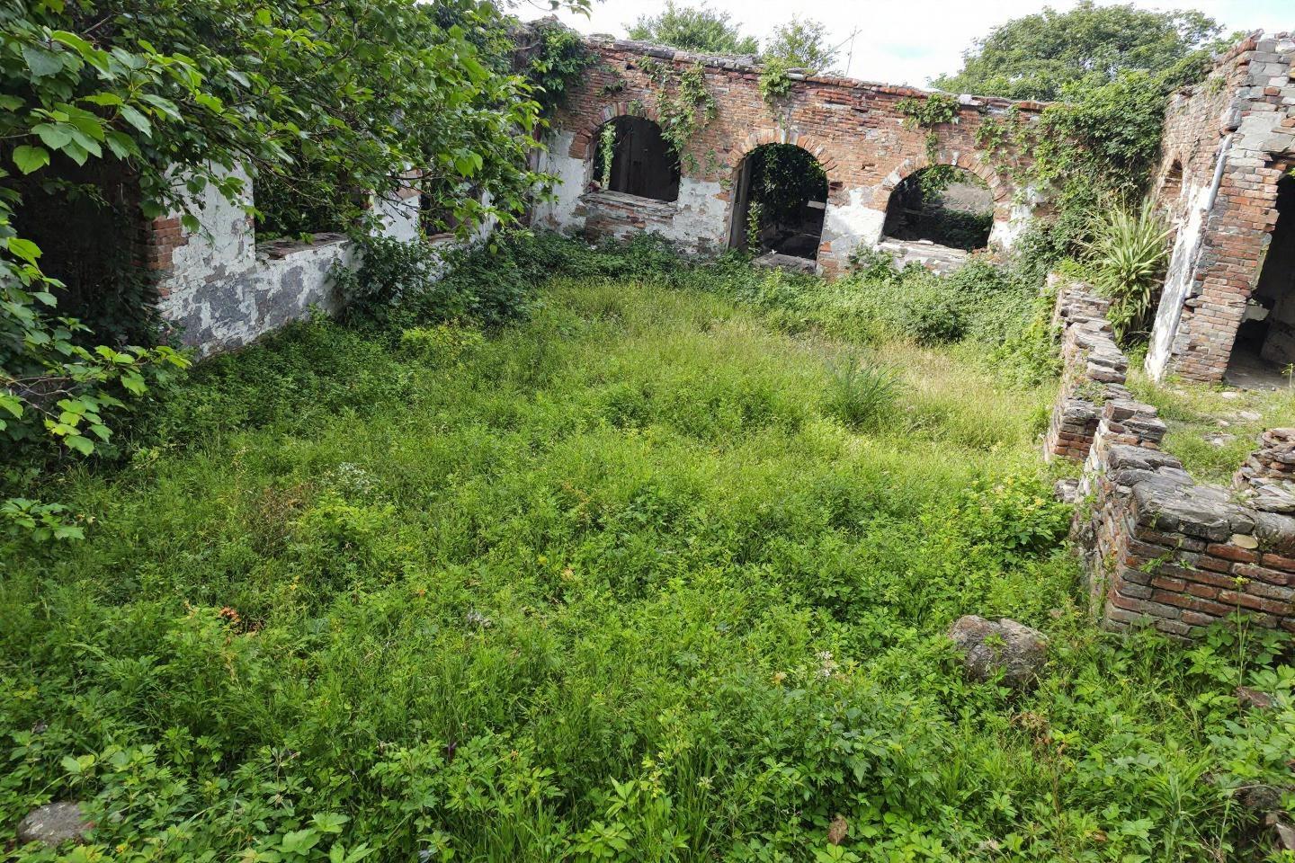 ruine cadastre a vendre