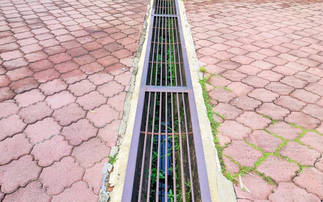 Naturel ou technologique : comment arbitrer sa gestion des eaux de pluie ?