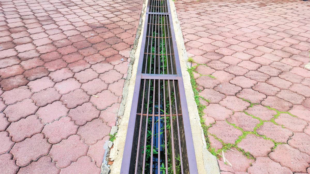 Naturel ou technologique : comment arbitrer sa gestion des eaux de pluie ? Face à l'intensification des épisodes pluvieux , choisir entre une approche naturelle et une solution technique pour gérer les eaux pluviales n'est jamais anodin.